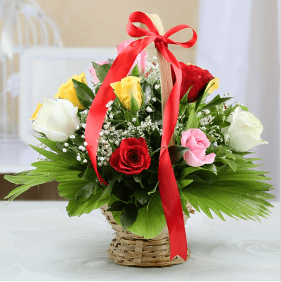 A premium collection of roses